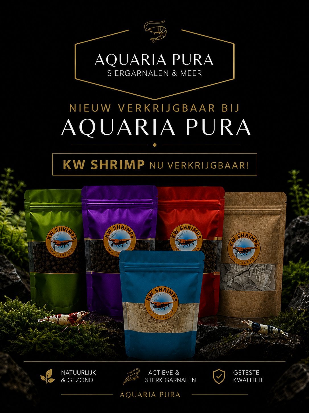 Kw shrimp, Dieren en Toebehoren, Vissen | Aquaria en Toebehoren, Ophalen, Nieuw