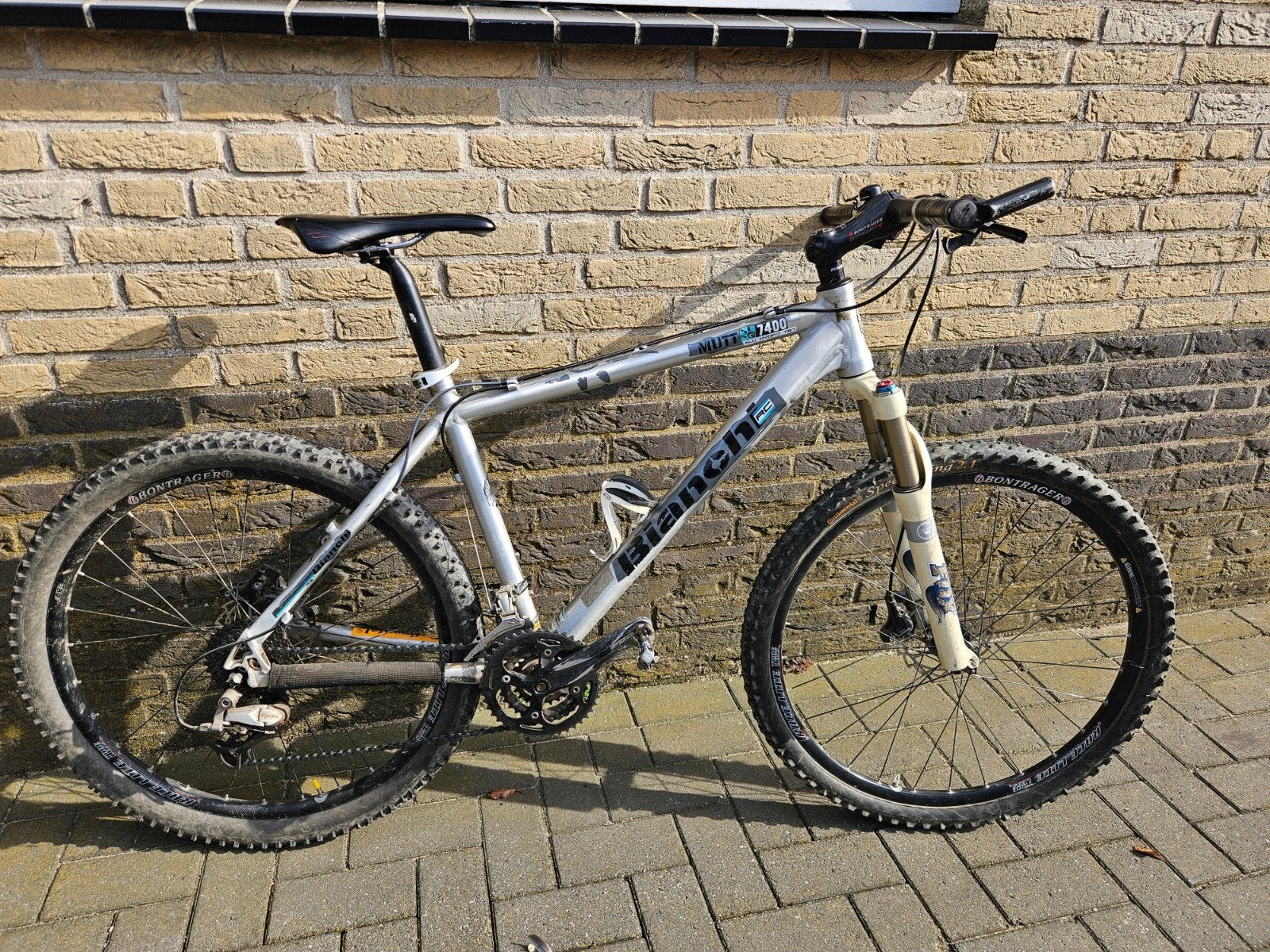Mountainbike Bianchi. zilvergrijs.  frame maat 47, 45 tot 49 cm, Ophalen, Gebruikt, Overige merken