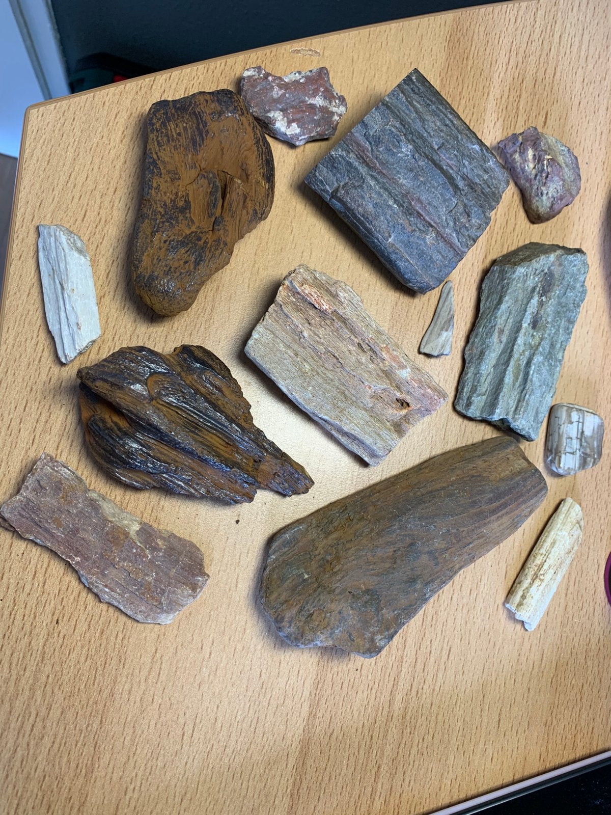 Versteend hout, Ophalen of Verzenden
