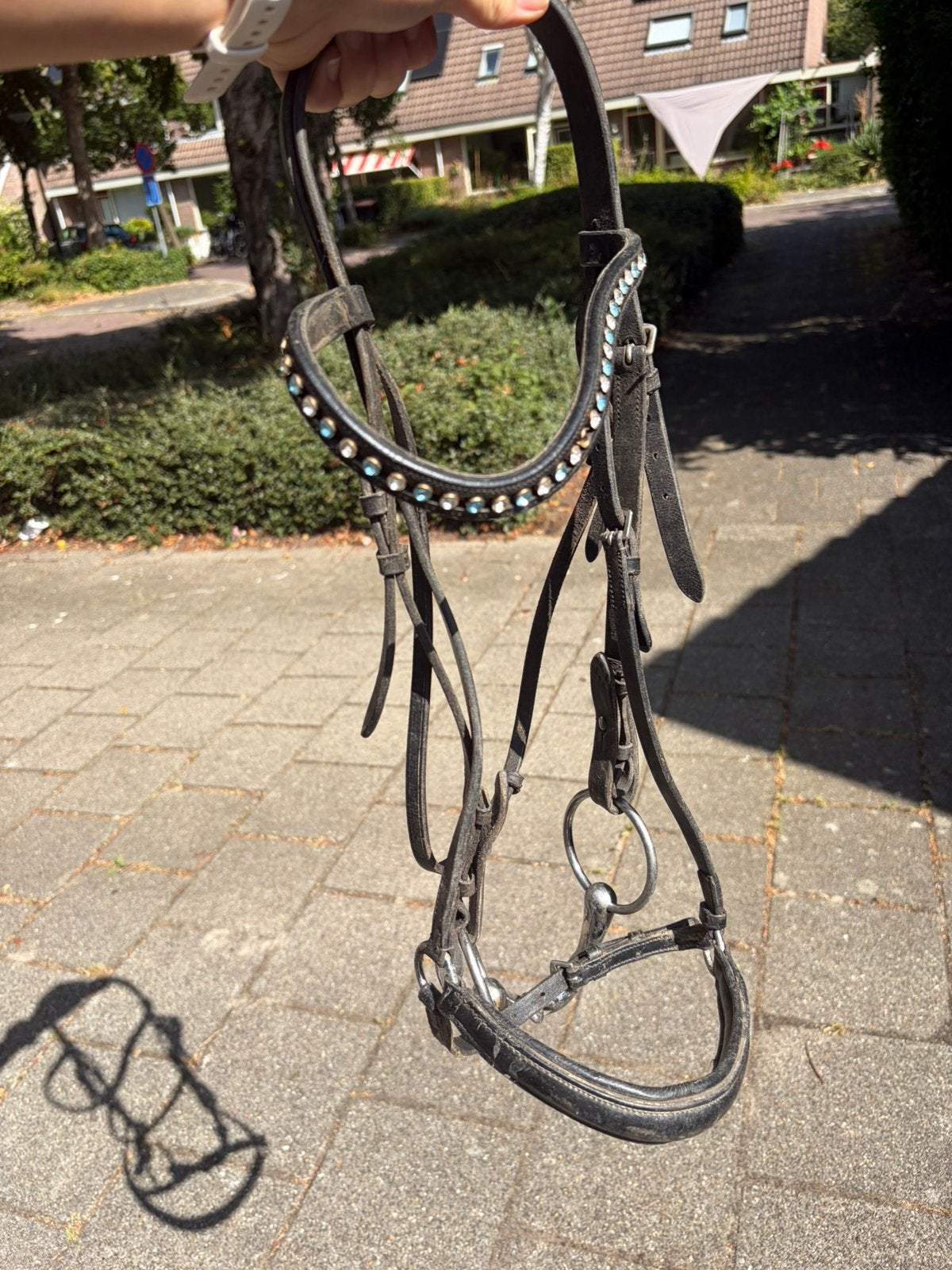 Hoofdstel cob, Ophalen, Gebruikt, Hoofdstel, Full