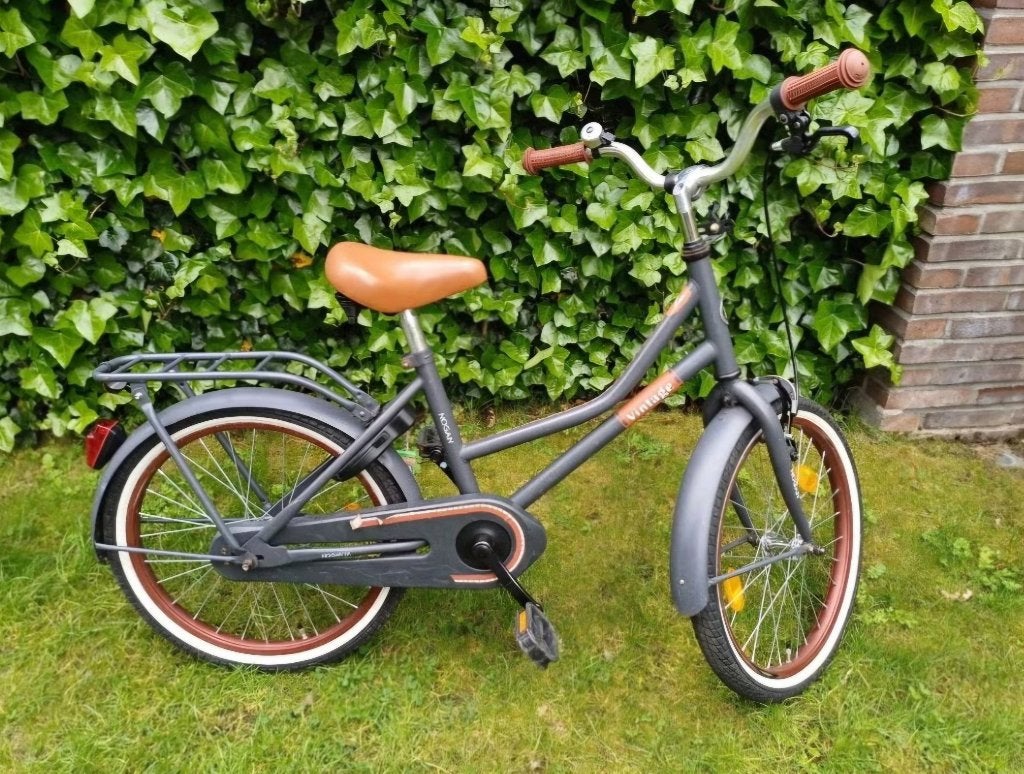 Fiets meisje 20 inch, Fietsen en Brommers, Fietsen | Kinderfietsjes, Ophalen, Gebruikt, Minder dan 16 inch