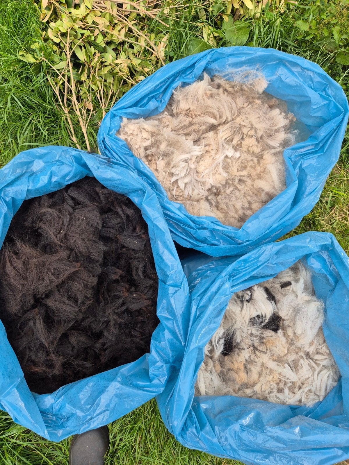 Alpaca wol., Hobby en Vrije tijd, Spinnewielen en Spinnen, Ophalen of Verzenden, Zo goed als nieuw, Spinwol