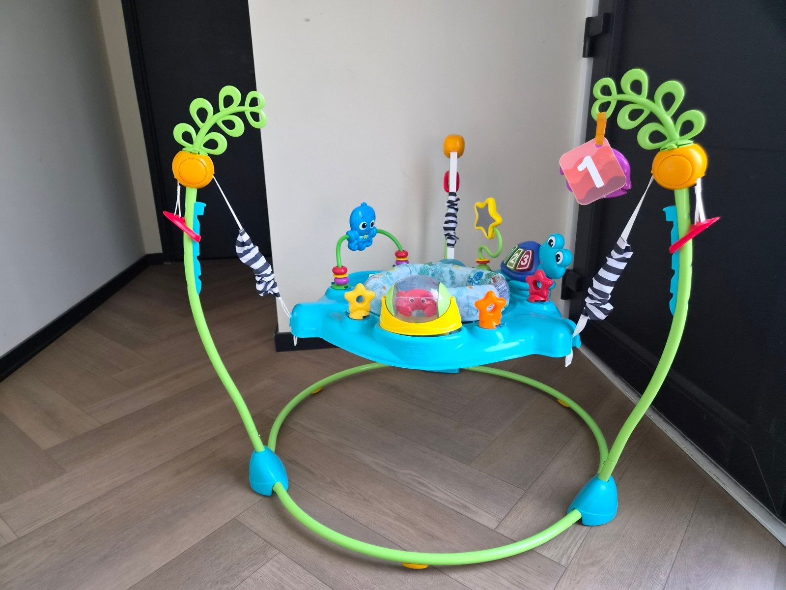 Baby Einstein Jumperoo met speelgoed, Ophalen of Verzenden, Zo goed als nieuw, Overige typen, Met geluid