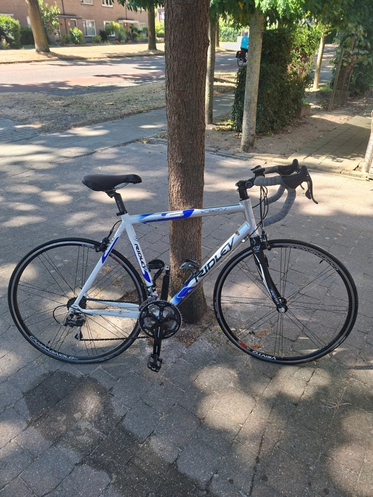 Ridley racefiets 54 inch/ 28 inch – 27 vers. – comfortabel z, 28 inch, Gebruikt, Velgrem, Aluminium