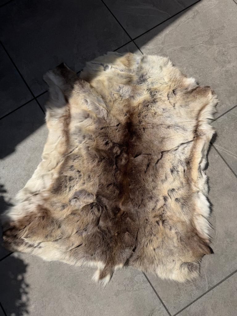 Prachtig rendiervel - Natuurlijke decoratie vacht kleed, Gebruikt, 100 tot 150 cm, Crème, Overige vormen