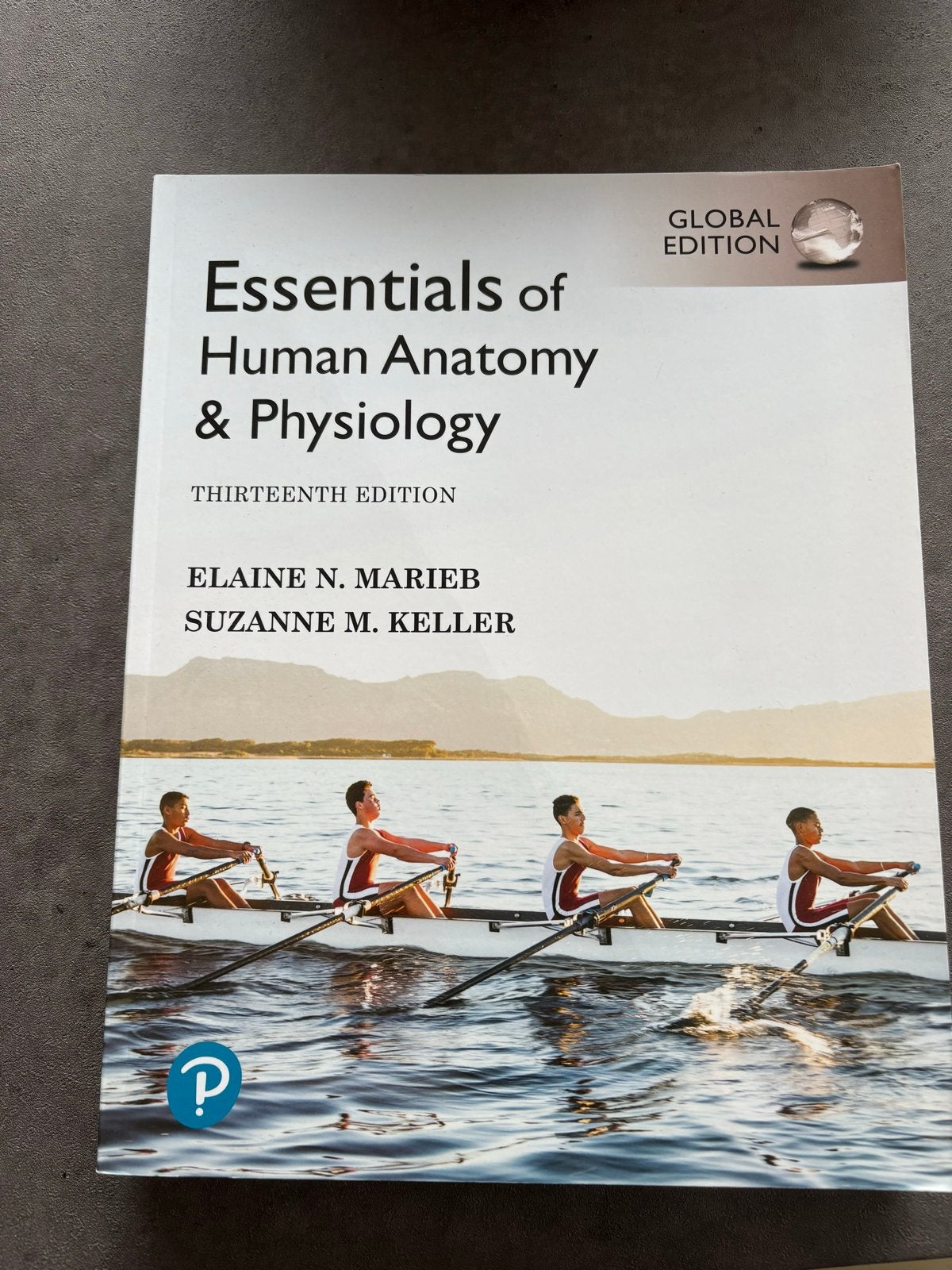 Essentials of Human Anatomy & Physiology - 13e editie, Ophalen of Verzenden, Beta, Zo goed als nieuw, HBO