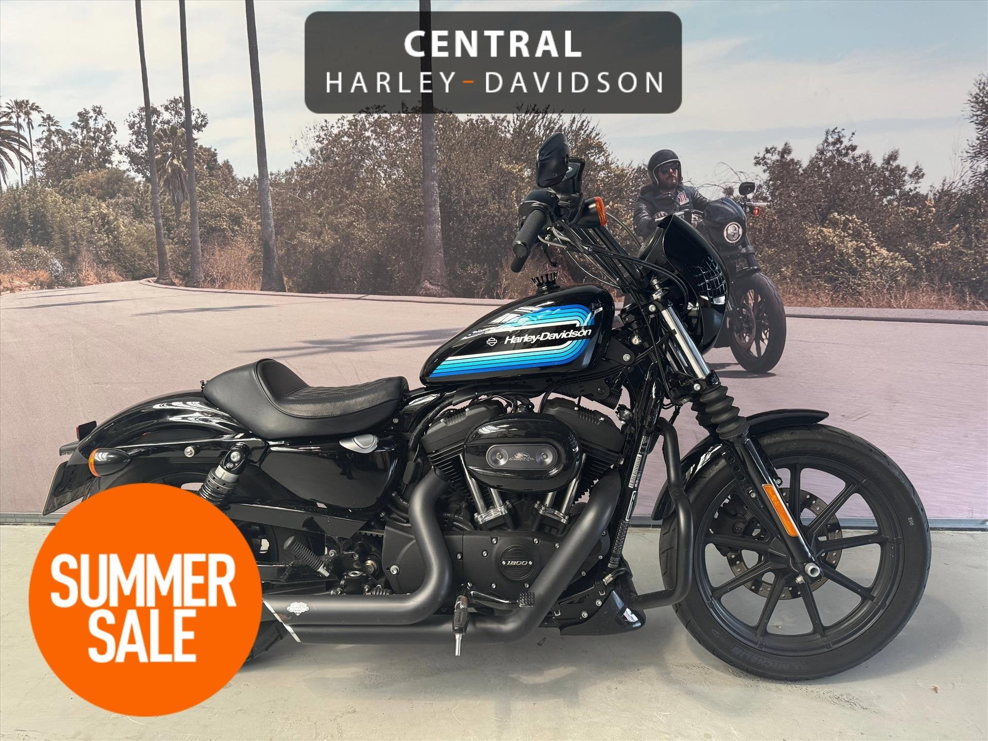 Harley-Davidson Sportster 1200 IRON 49KW, Motoren, Motoren | Harley-Davidson, Bedrijf, 1202 cc, Meer dan 35 kW, Overig