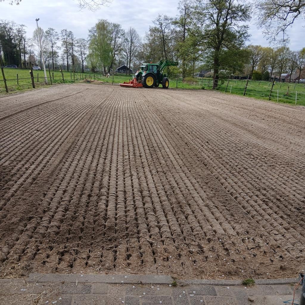 Weiland te koop gevraagd, 2 of 3 paarden of pony's