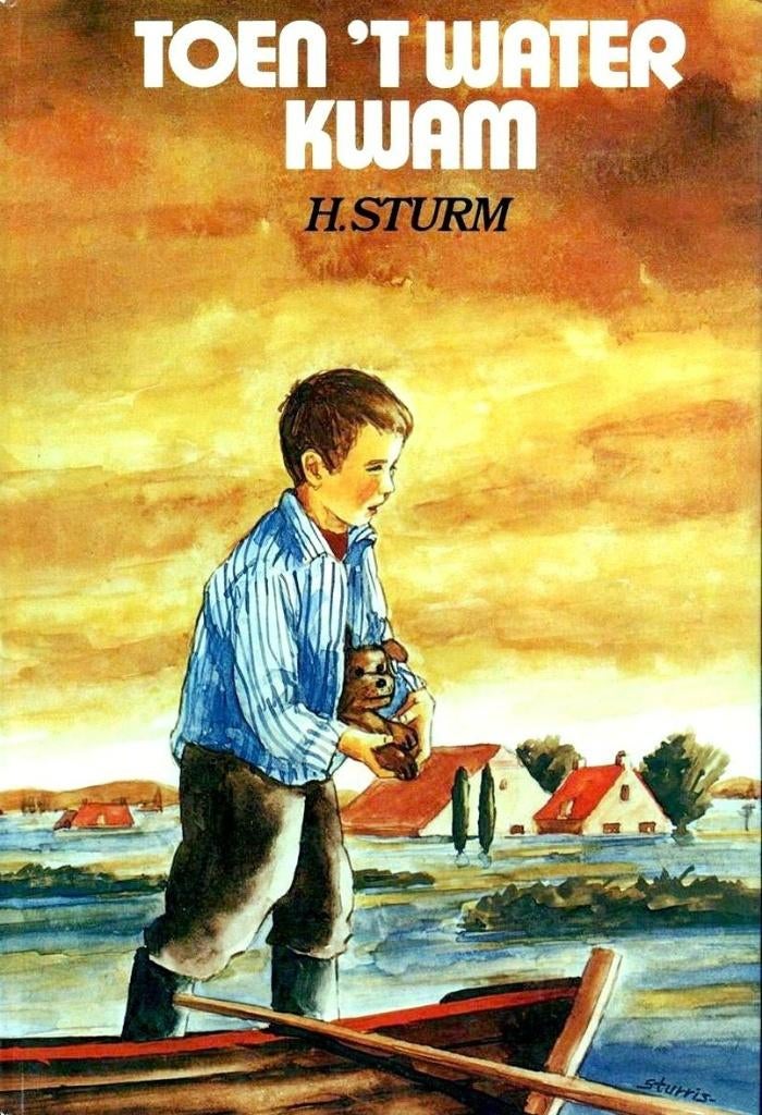 Toen 't water kwam boek, Nieuw, Ophalen of Verzenden, Fictie, H. Sturm