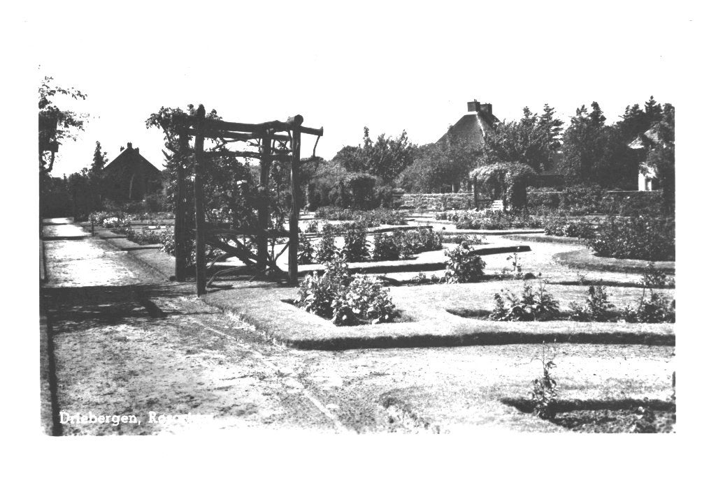 940256	Driebergen	Rosarium	1954	Gelopen met zegel, Ophalen of Verzenden, 1940 tot 1960, Gelopen, Utrecht