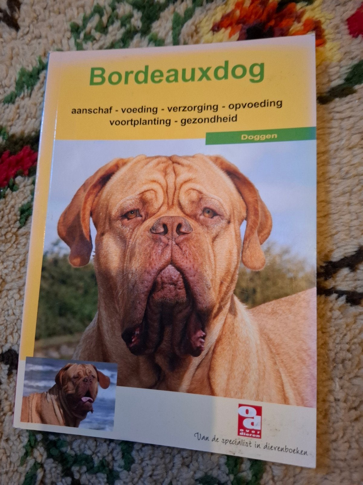 Bordeauxdog: Aanschaf, Voeding, Verzorging, Opvoeding, Ophalen of Verzenden, Zo goed als nieuw, Honden, Van de specialist in dierenboeken