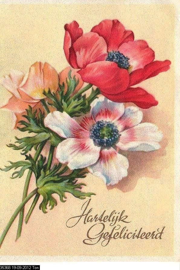 Ansichtkaart 	Hartelijk Gefeliciteerd	Anemonen, Verzenden, 1940 tot 1960, Gelopen, Feest(dag)