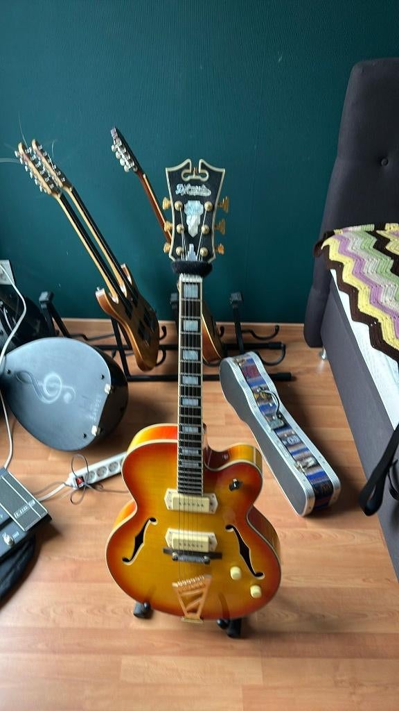 D'angelico EX-59, Muziek en Instrumenten, Snaarinstrumenten | Gitaren | Elektrisch, Ophalen of Verzenden, Zo goed als nieuw, Hollow body