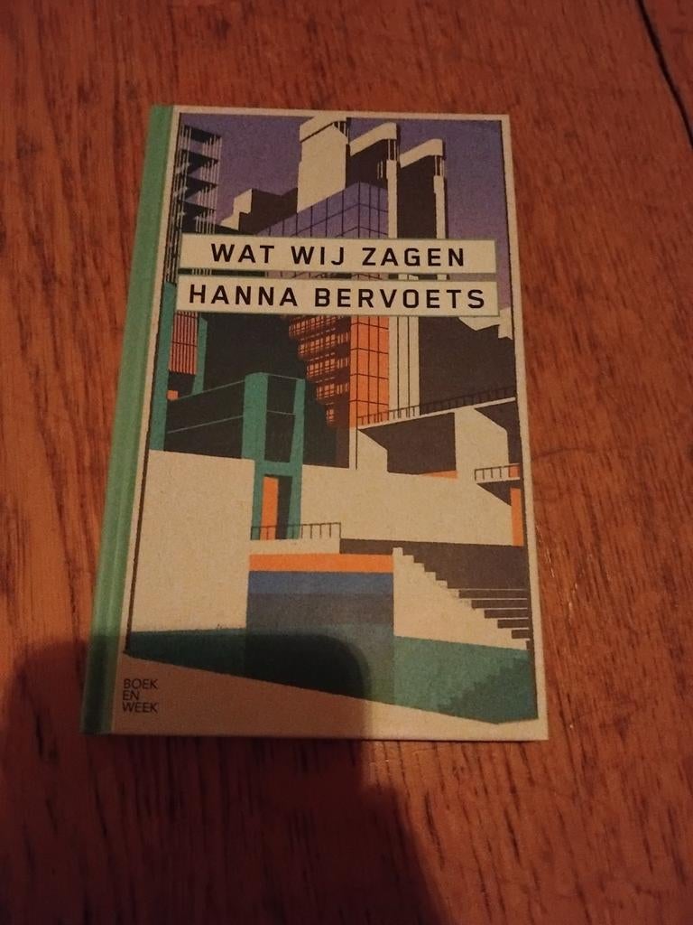 Wat Wij Zagen - Hanna Bervoets (Boek en Week), Boeken, Ophalen of Verzenden