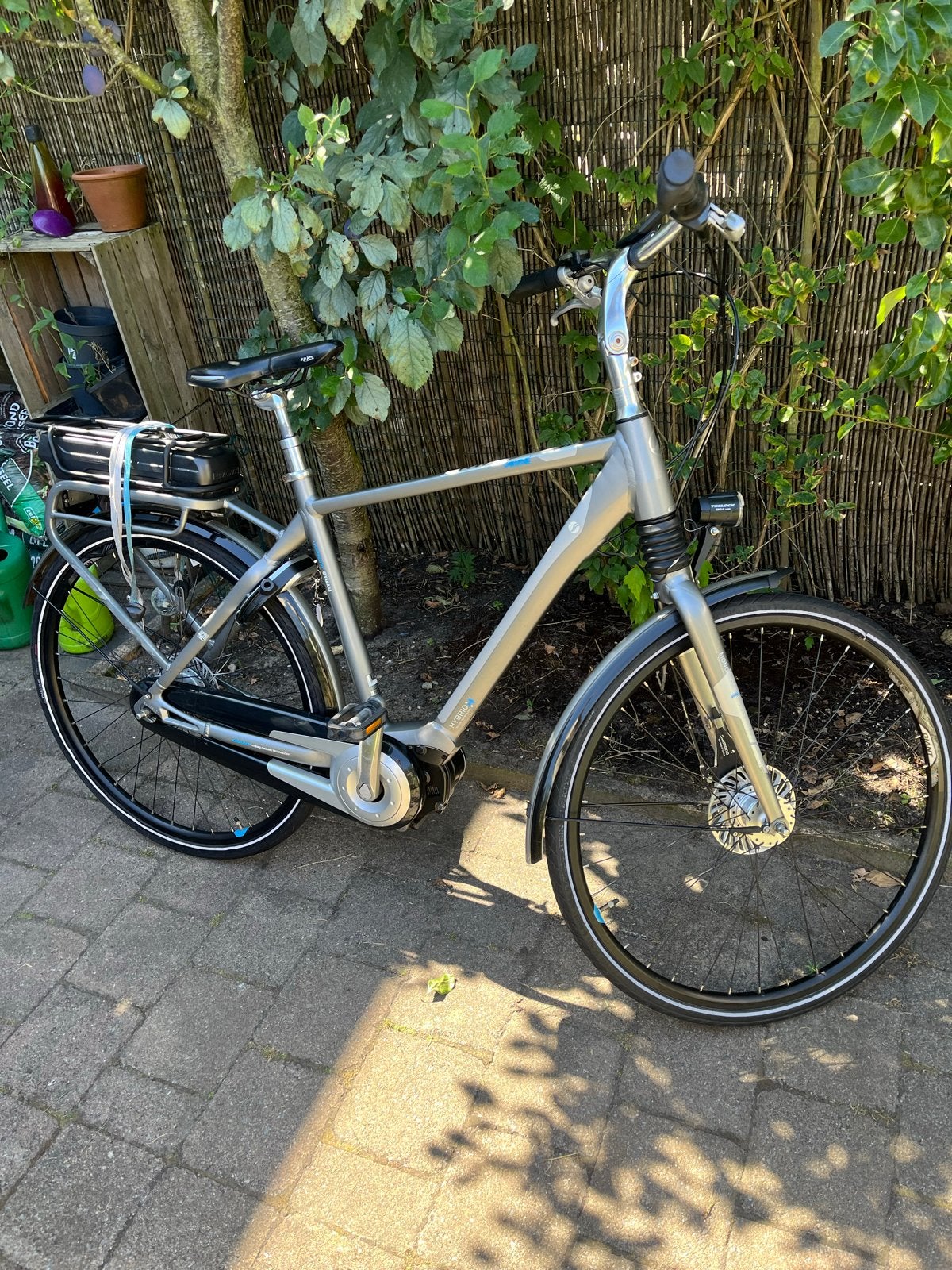 Giant elektrische fiets - Maat L - 1745 km gereden, Fietsen en Brommers, Ophalen, Gebruikt, 50 km per accu of meer, Giant