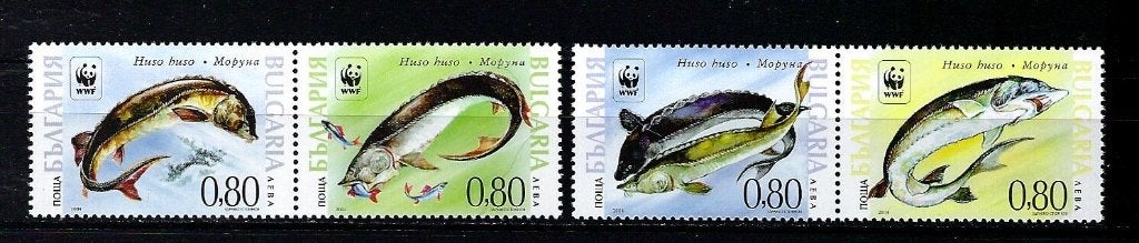WWF Bulgarije Mi. 4678/4681 Postfris (Vissen), Ophalen of Verzenden, Postfris, Dier of Natuur