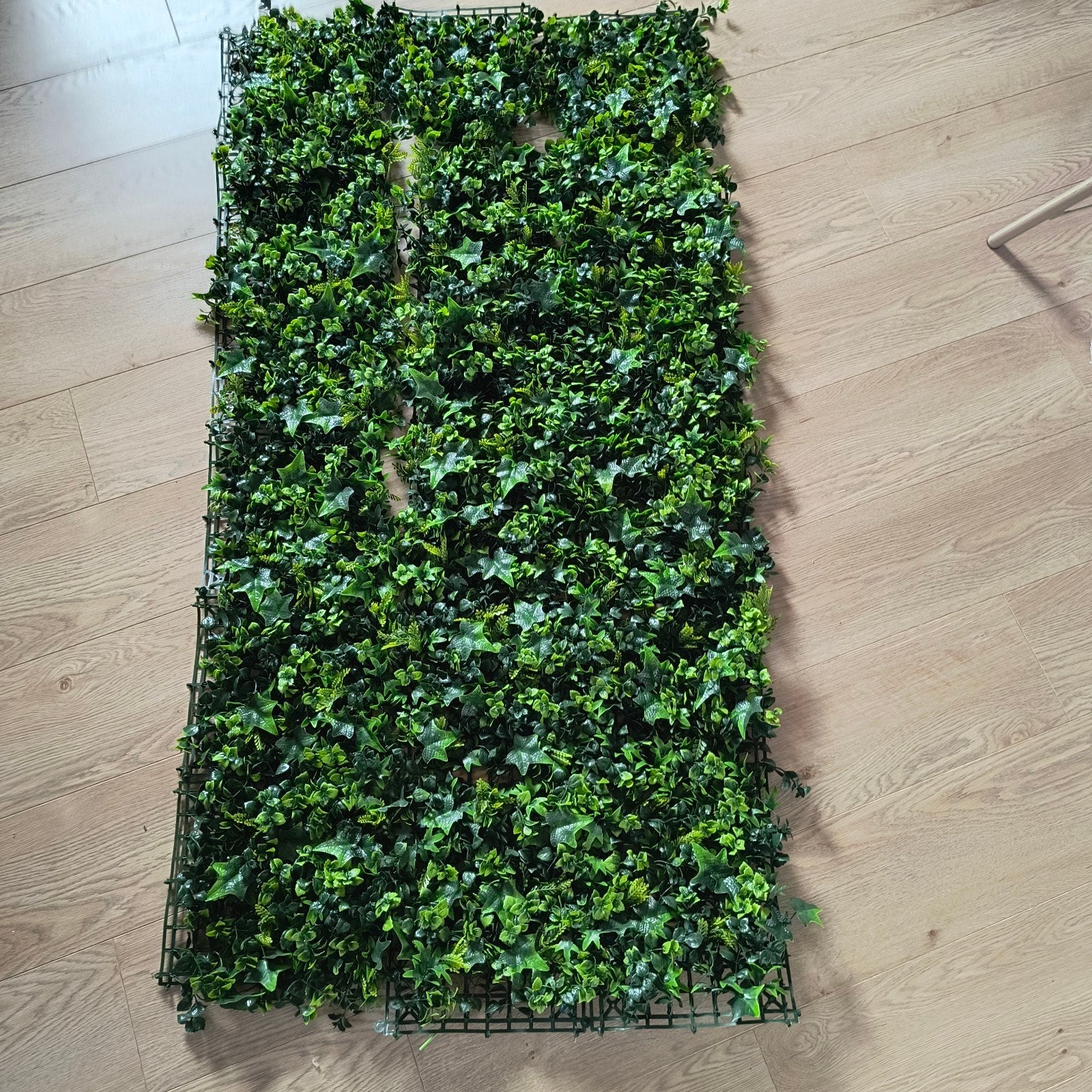 wintergroen , kunsthaag, Ophalen of Verzenden, Minder dan 10 m²