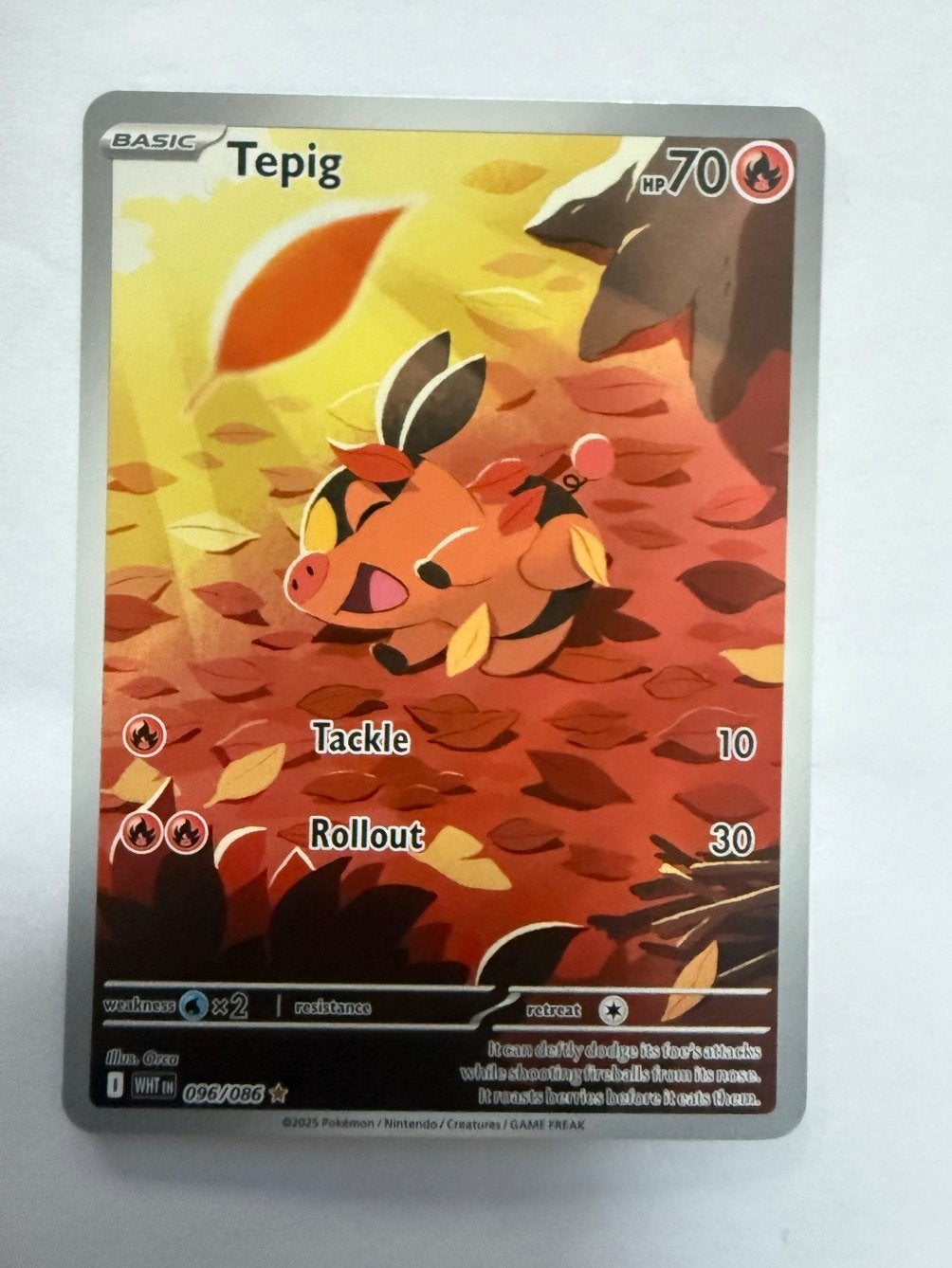 Tepig IR - White Flair - Pokémon Kaart, Ophalen of Verzenden, Nieuw, Losse kaart