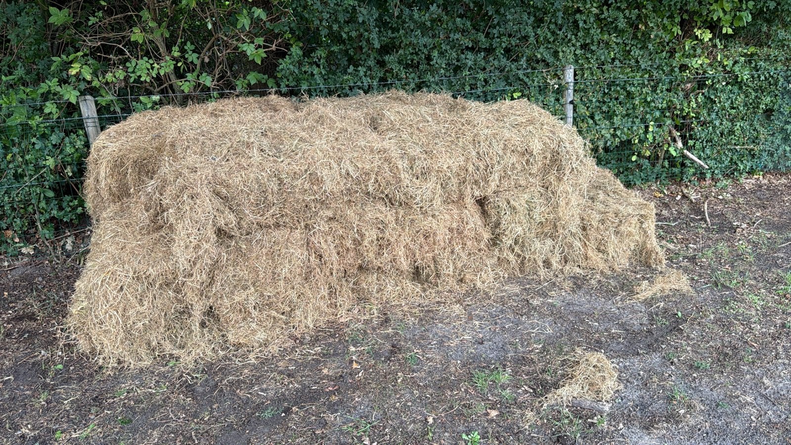 Gratis hooi af te halen (ca. 16 balen), Dieren en Toebehoren, Paarden en Pony's | Overige Paardenspullen, Ophalen