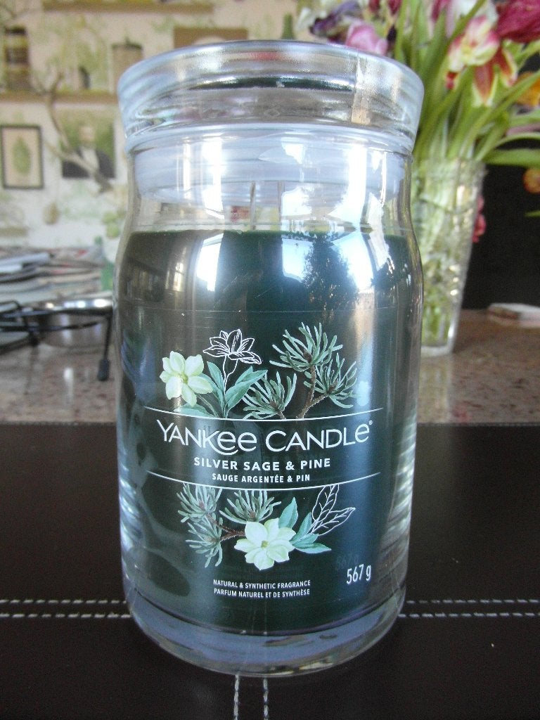 Yankee Candle Geurkaars "SILVER SAGE & PINE", Overige materialen, Overige merken, Nieuw, Ophalen of Verzenden