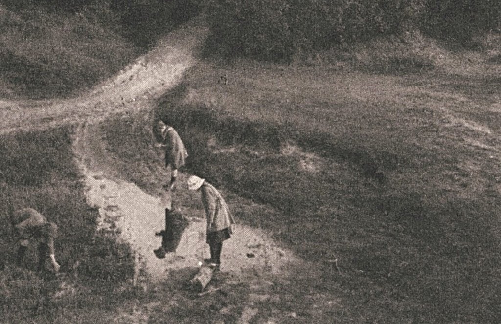 700375	Domburg	Duinen met Bosch Z Nette kaart onbeschreven, Ophalen of Verzenden, Voor 1920, Ongelopen, Zeeland