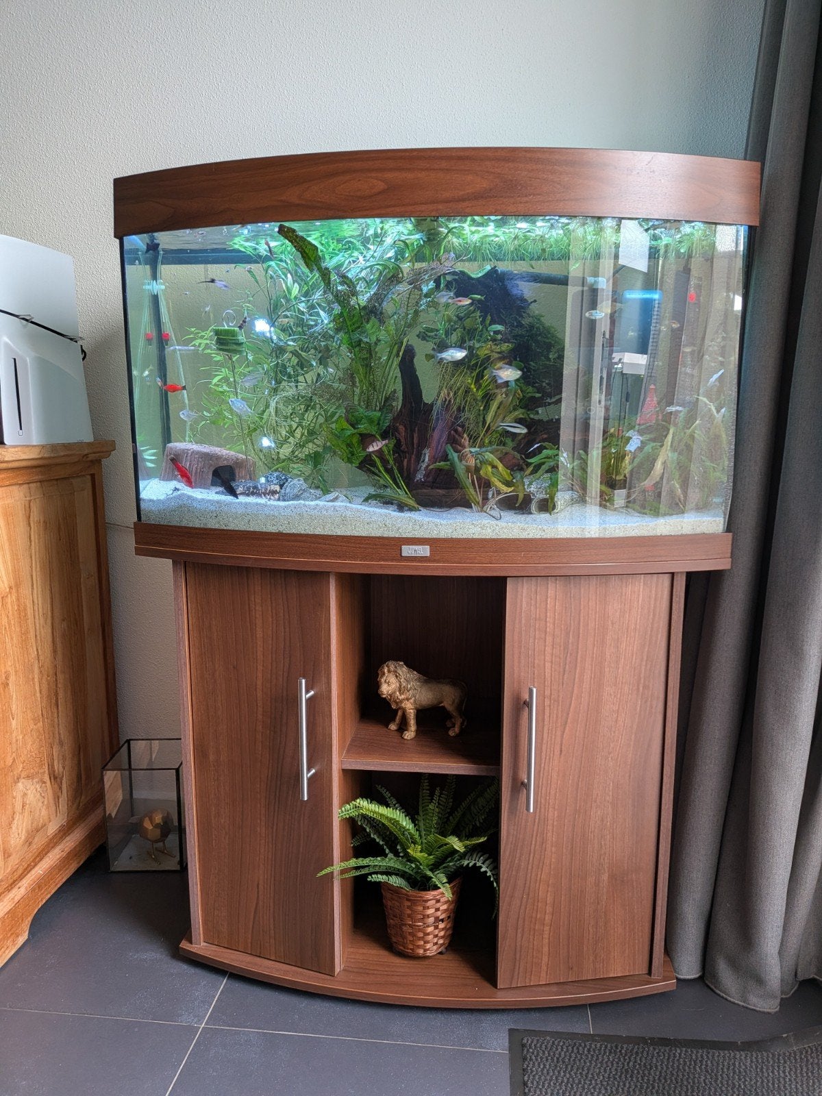 aquarium juwel met meubel in dezelfde kleur ( leeg te koop), Dieren en Toebehoren, Vissen | Aquaria en Toebehoren, Ophalen