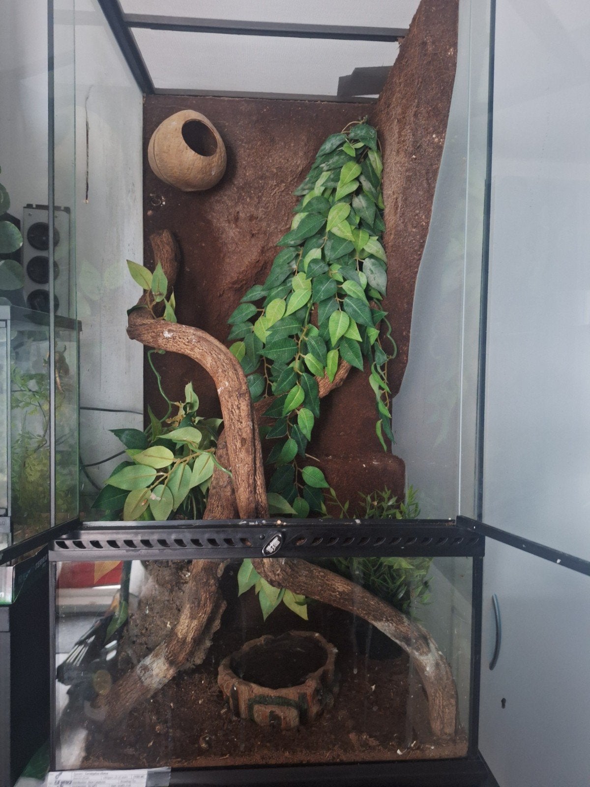 mooie exoterra terrarium, Ophalen, Gebruikt, Terrarium of Paludarium