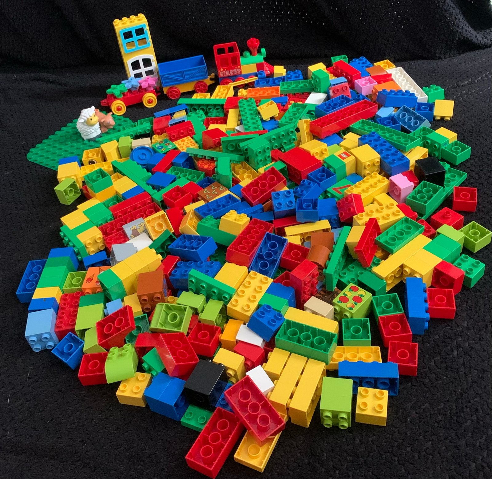 LEGO Duplo Grote partij blokken, Kinderen en Baby's, Speelgoed | Duplo en Lego, Inclusief minifiguren, Ophalen of Verzenden, Zo goed als nieuw