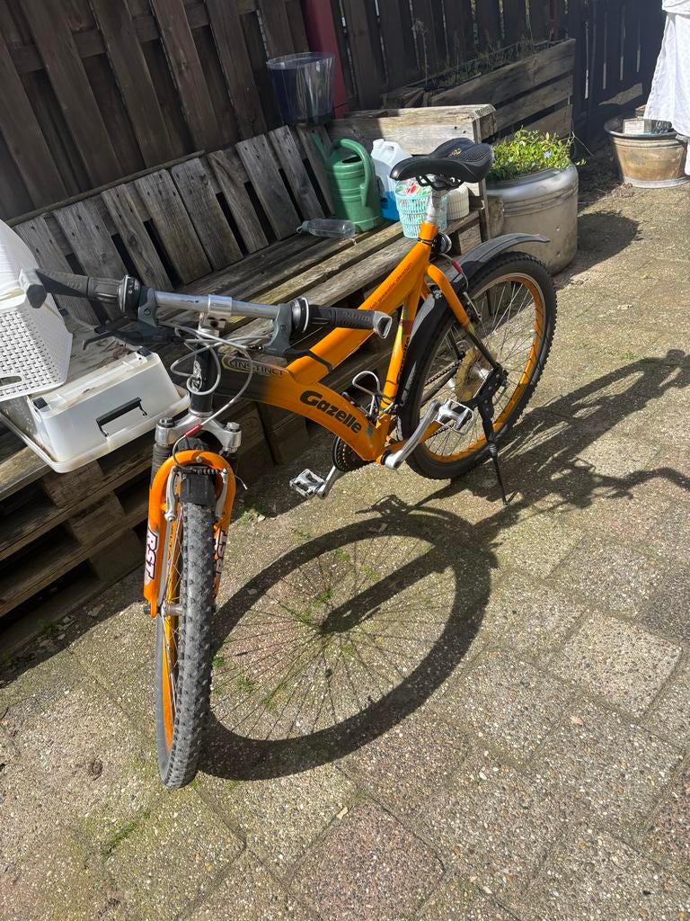 Gazelle Mountainbike - Oranje/Zwart, Ophalen, Gebruikt, Hardtail, Heren