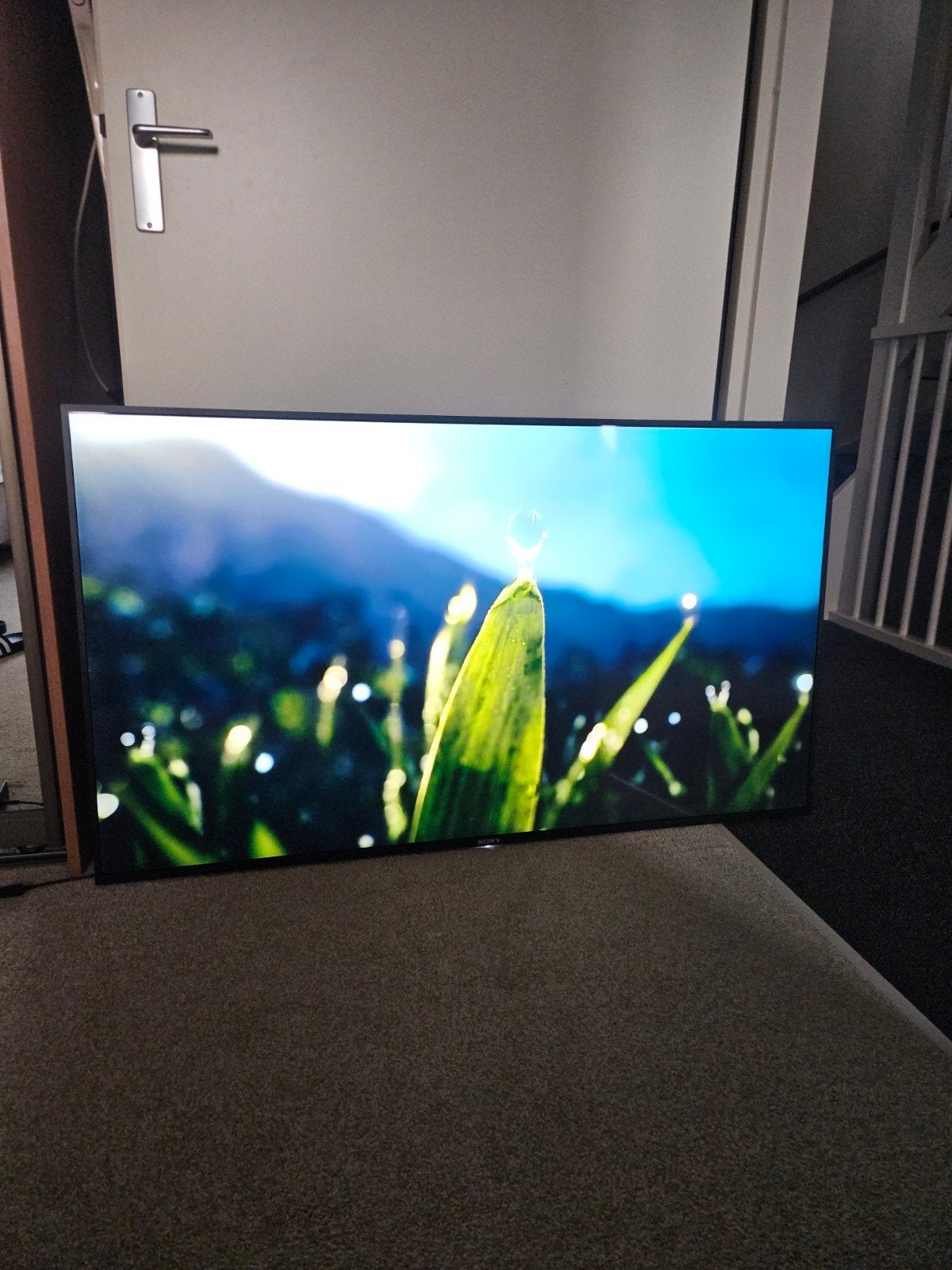 Sony tv 55 inch, Ophalen