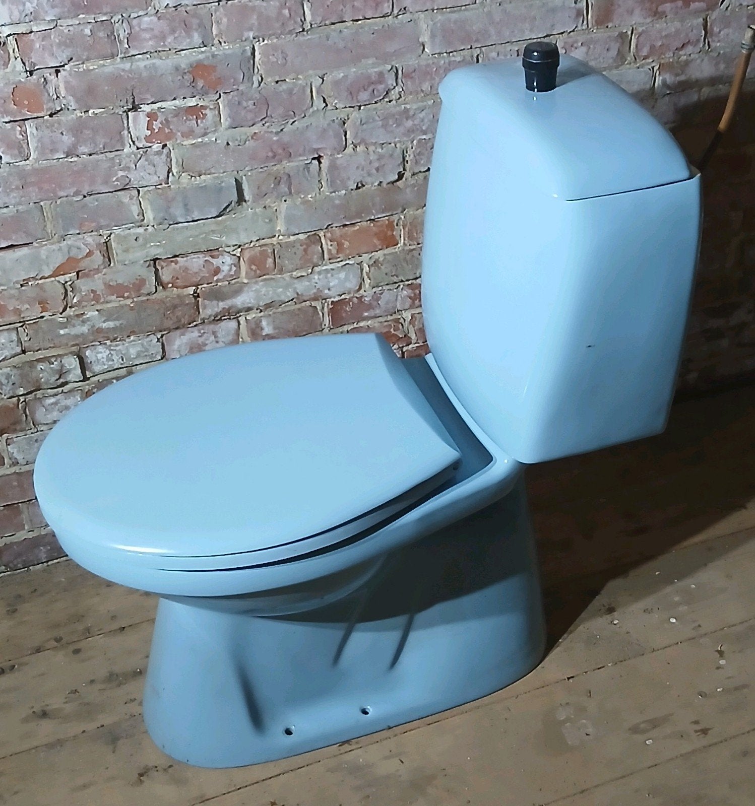 blauwe porseleinen sphinx toilet duoblok wc, Ophalen, Toilet