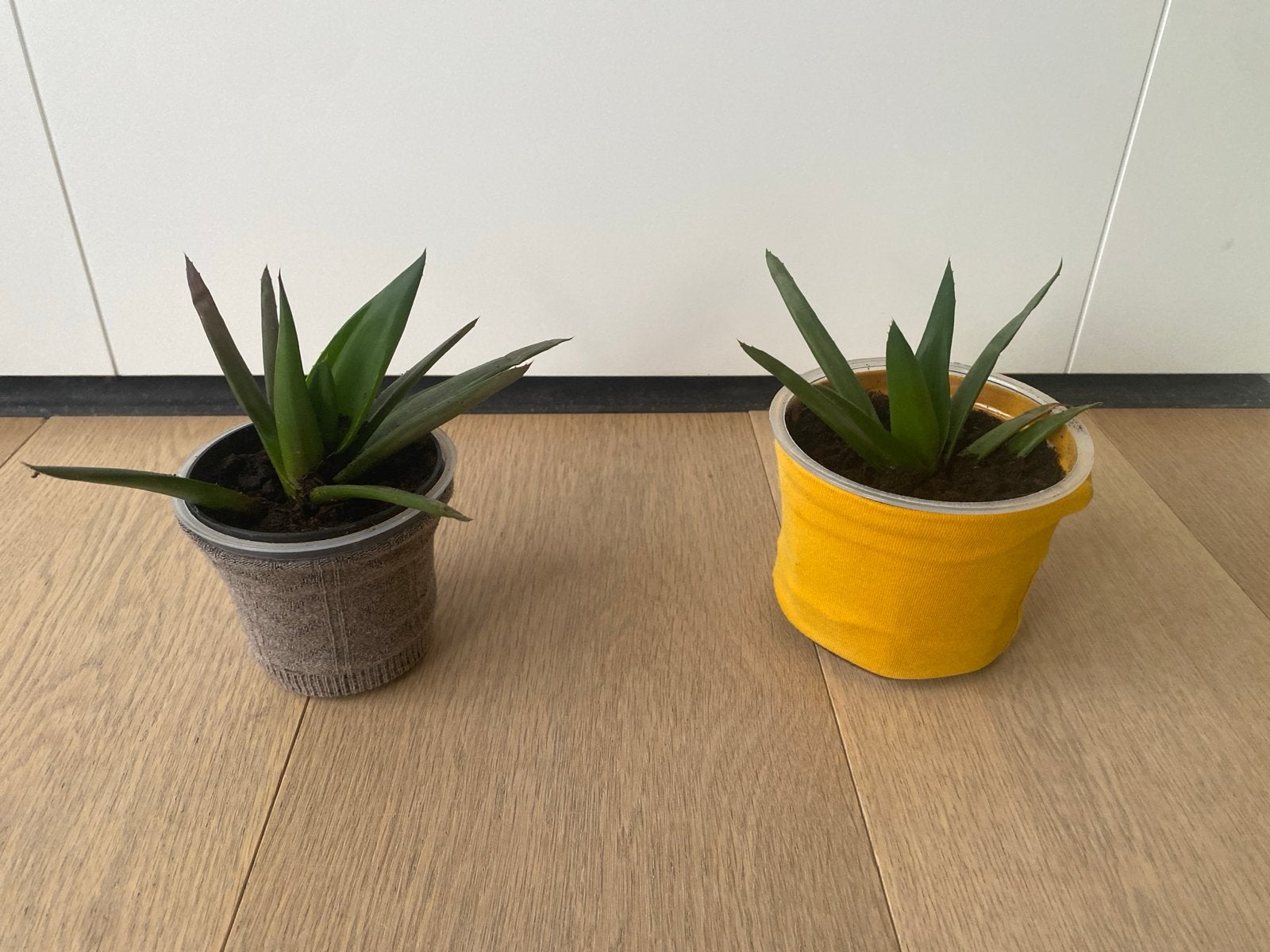 2 aloe vera, Ophalen, Kunststof, Minder dan 30 cm, Minder dan 60 cm