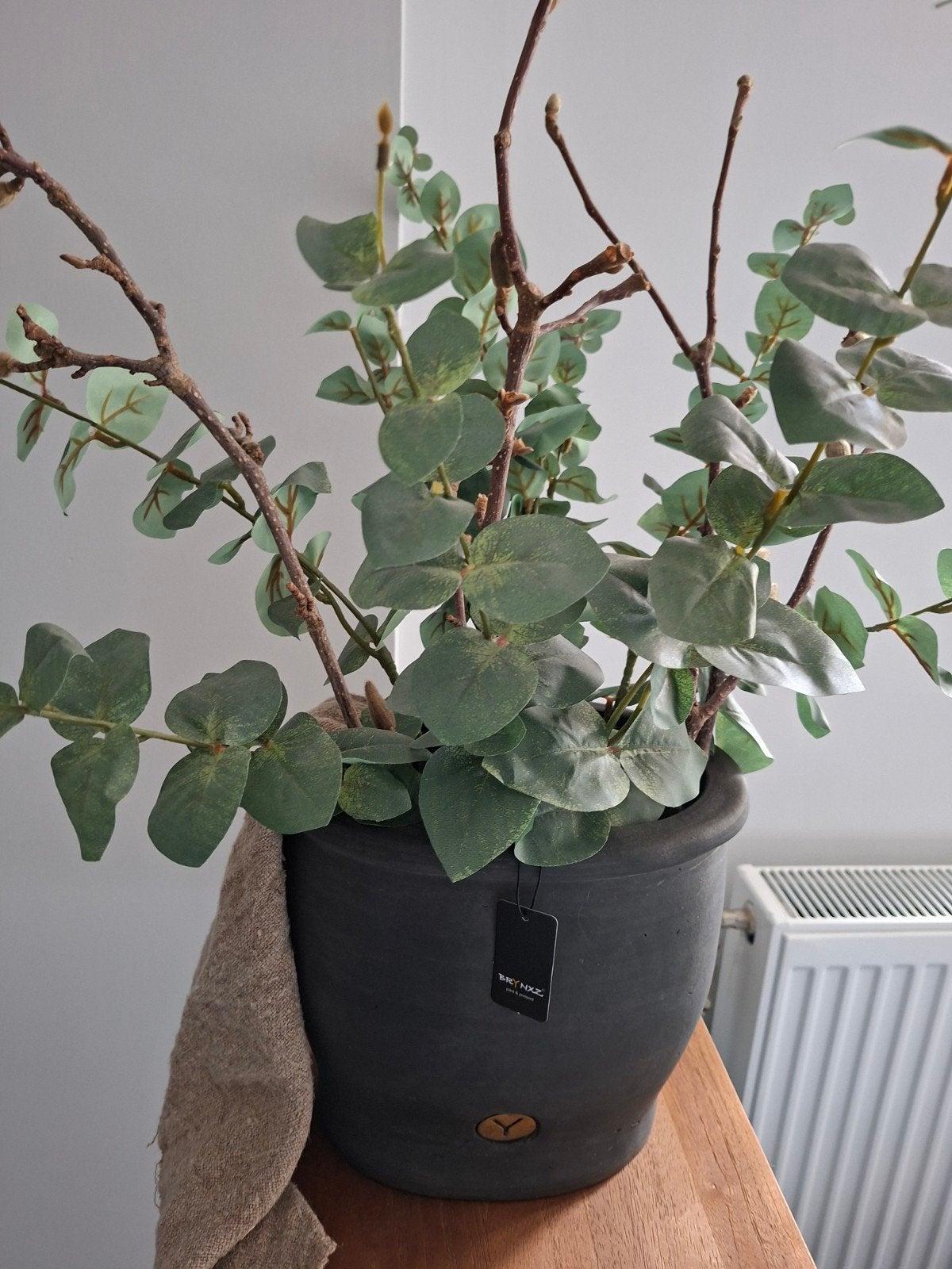 Kunst Eucalyptus takken in Zwarte Pot Brynxz - Stijlvolle De, Ophalen, Binnen, Groen, Met pot of vaas