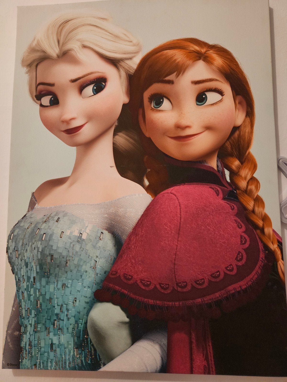 Disney Frozen Elsa en Anna canvas, Ophalen, Zo goed als nieuw, Overige typen