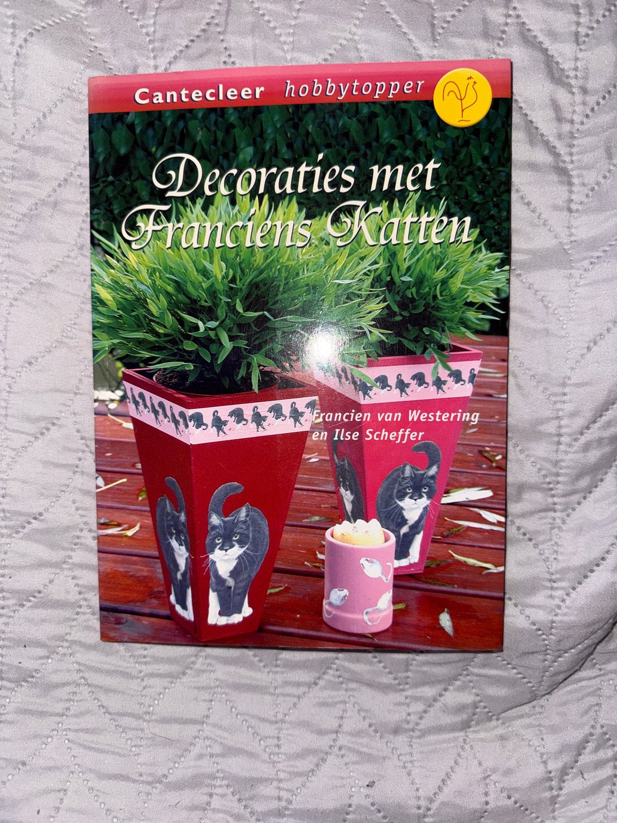 Decoraties met Franciens Katten - Hobbyboek, Ophalen of Verzenden, Zo goed als nieuw