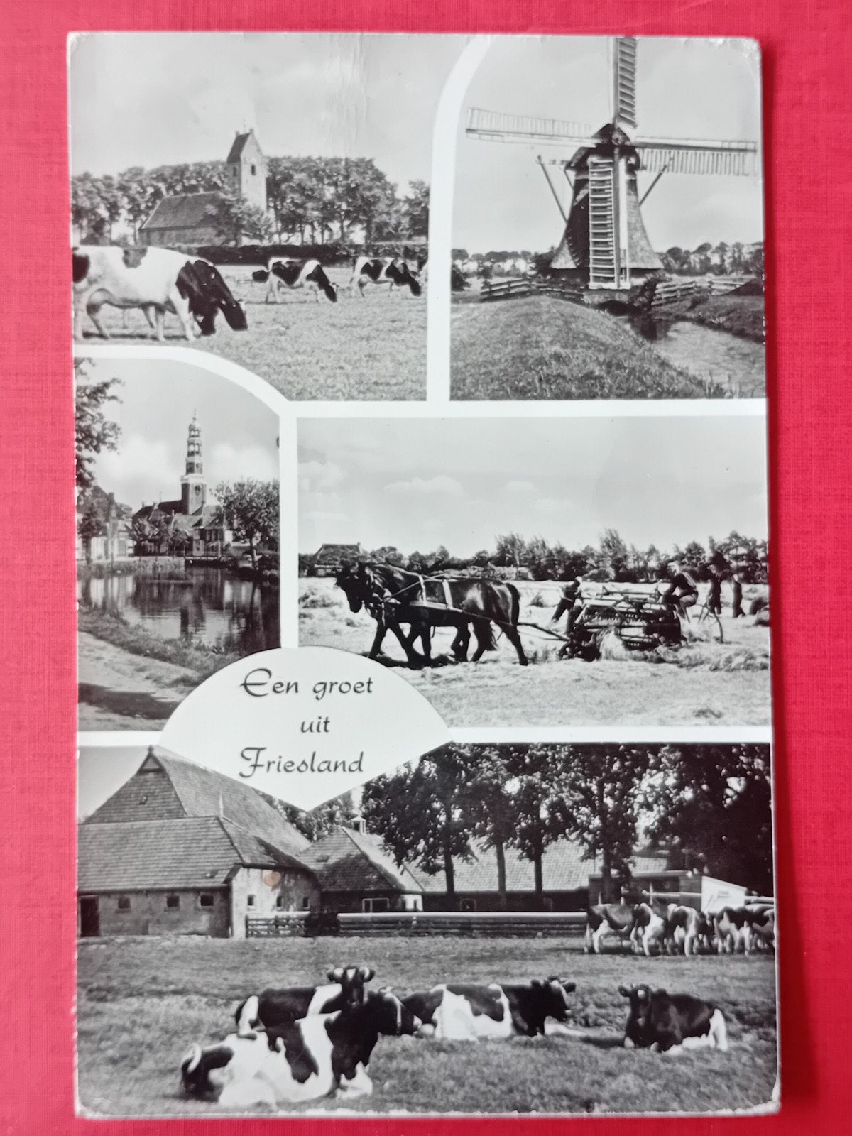 Ansichtkaart Friesland, Ophalen of Verzenden, Friesland