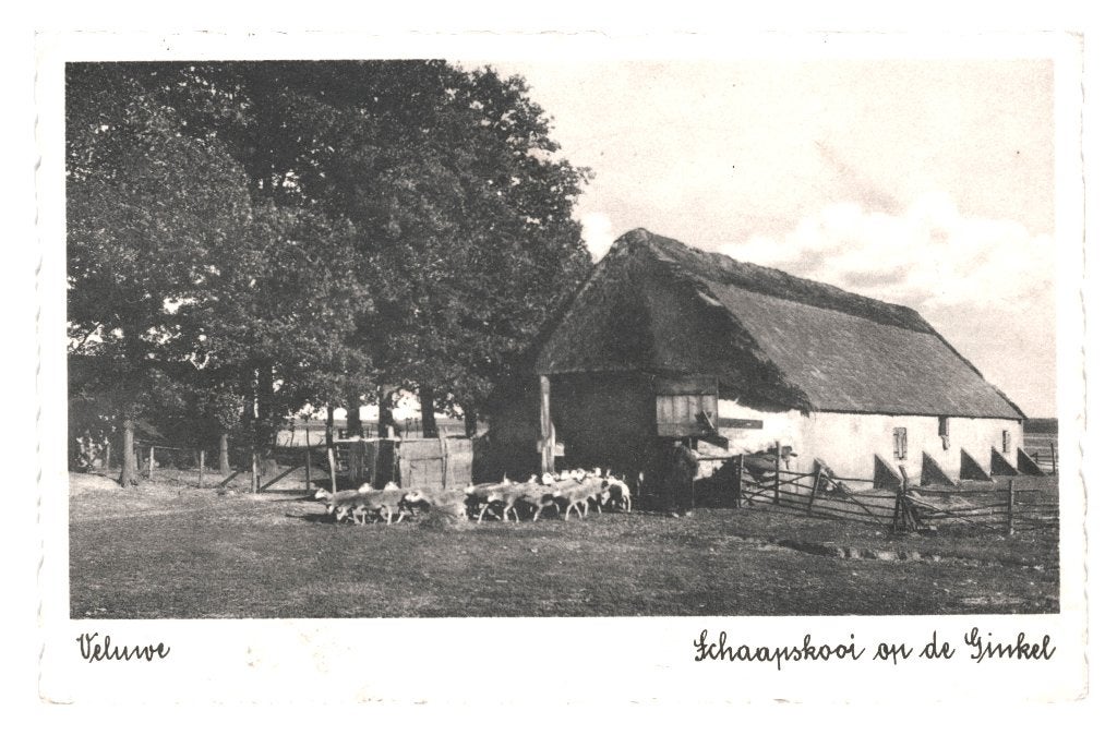 968648 Veluwe Ginkel Ede 1938 Gld Schaapskooi Gelopen