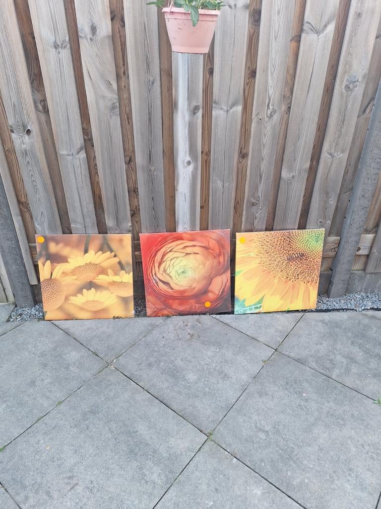 Tuinschilderijen Set van 3 bloemen canvas schilderijen, Huis en Inrichting, Woonaccessoires | Schilderijen, Tekeningen en Foto's
