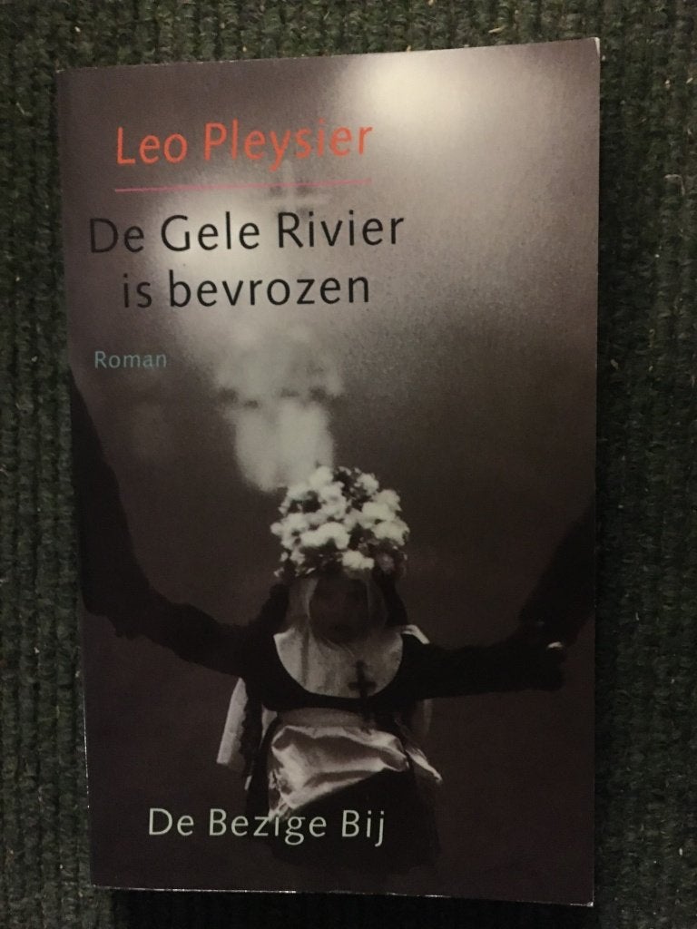 De Gele Rivier is bevroren ; door Leo Pleysier, Boeken, Ophalen of Verzenden, Zo goed als nieuw, Nederland, Leo Pleysier