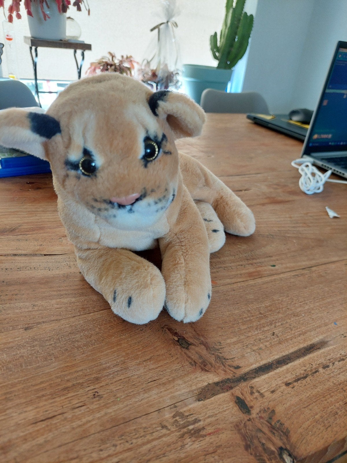 Schattige pluche leeuwenwelp knuffel, Overige merken, Overige karakters, Ophalen of Verzenden, Middelgroot (20 tot 80 cm)