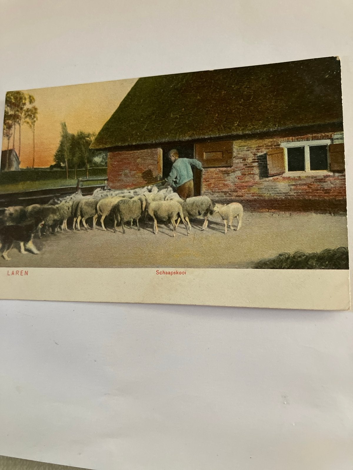Oude Ansichtkaart Laren Schaapskooi (Voor 1920), Verzamelen, Ophalen of Verzenden, Voor 1920, Ongelopen, Noord-Holland