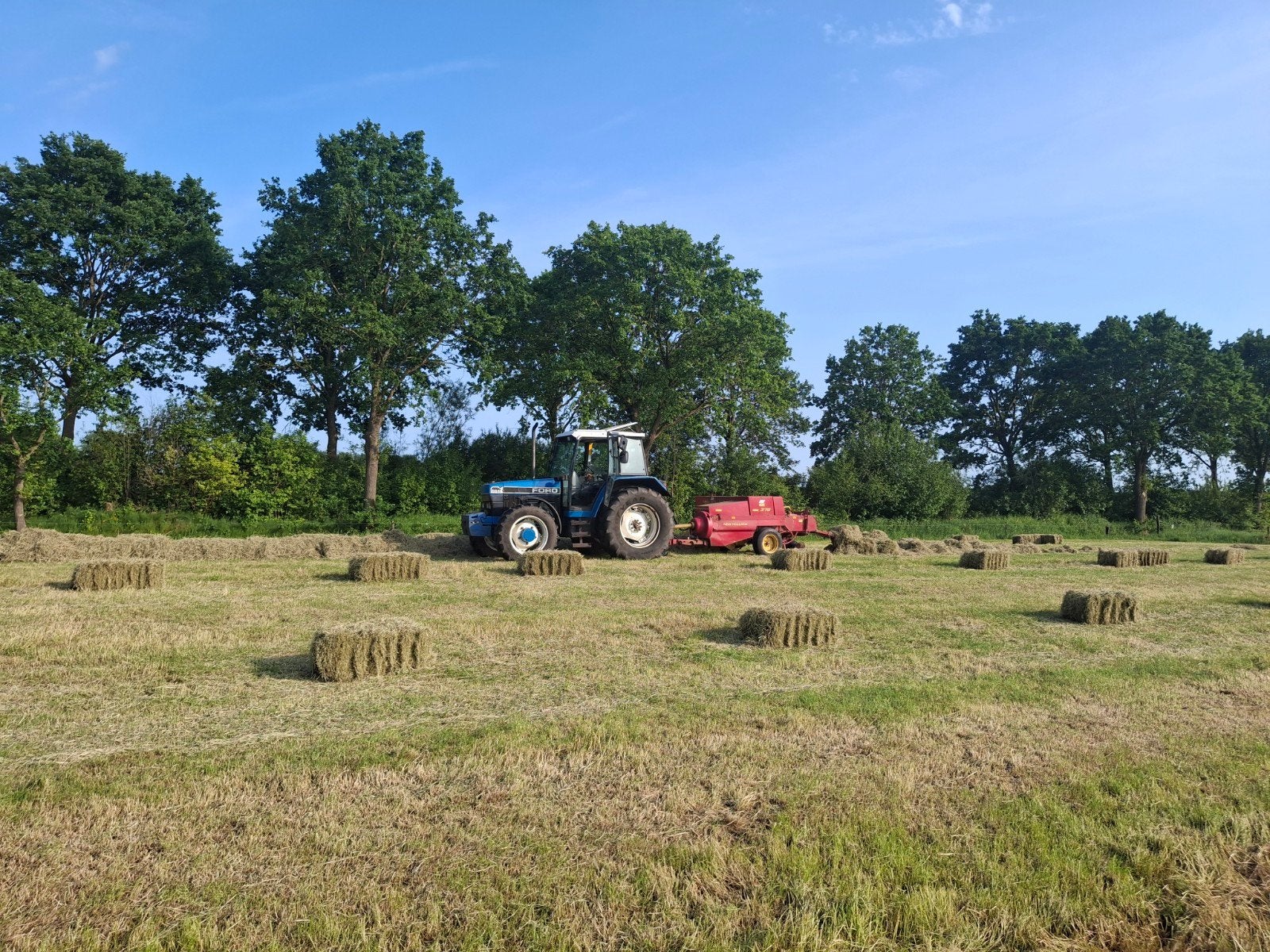 Hooipakjes, Dieren en Toebehoren, Stalling en Weidegang