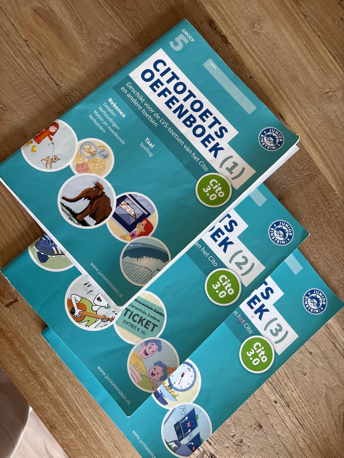 Junior Einstein Cito Oefenboeken Groep 5 (set van 3), Ophalen of Verzenden, Gelezen, Overige niveaus