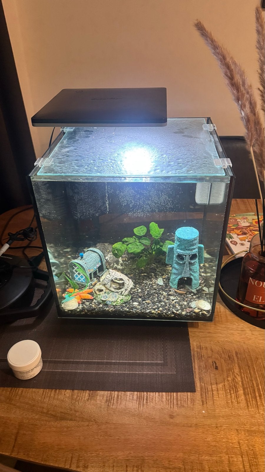 Superfish 30 pro aquarium, Dieren en Toebehoren, Ophalen of Verzenden
