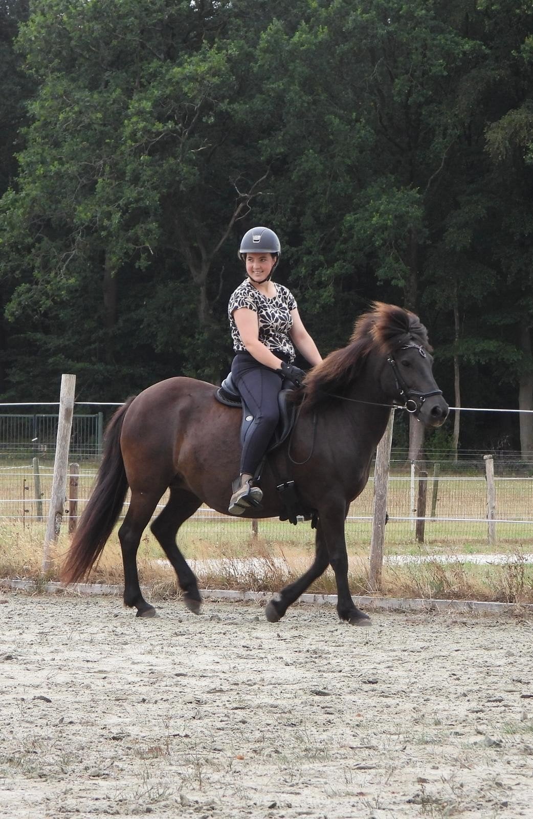 Lieve ijslander merrie, Dieren en Toebehoren, Merrie, Recreatiepaard, Met stamboom, 11 jaar of ouder