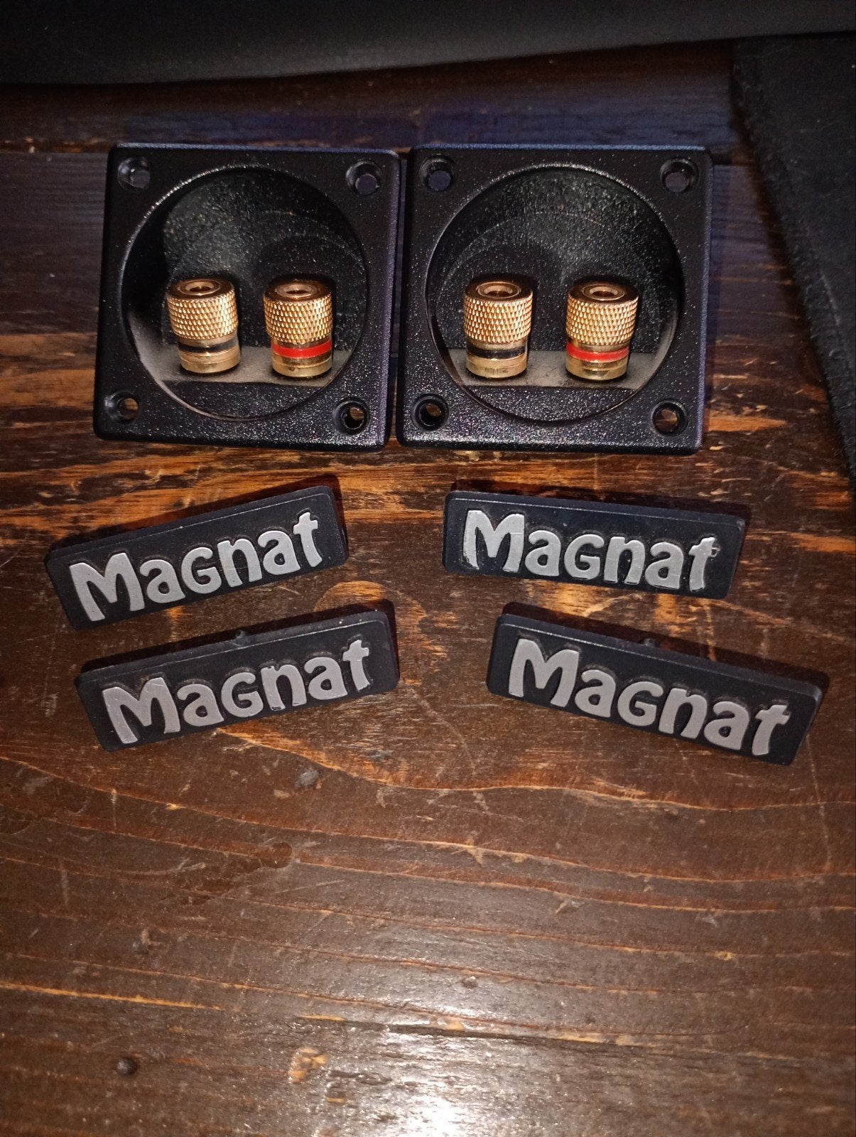 Magnat speaker logo's en Philips MCD aansluitingen, Audio, Tv en Foto, Ophalen, Gebruikt, Overige typen, Magnat