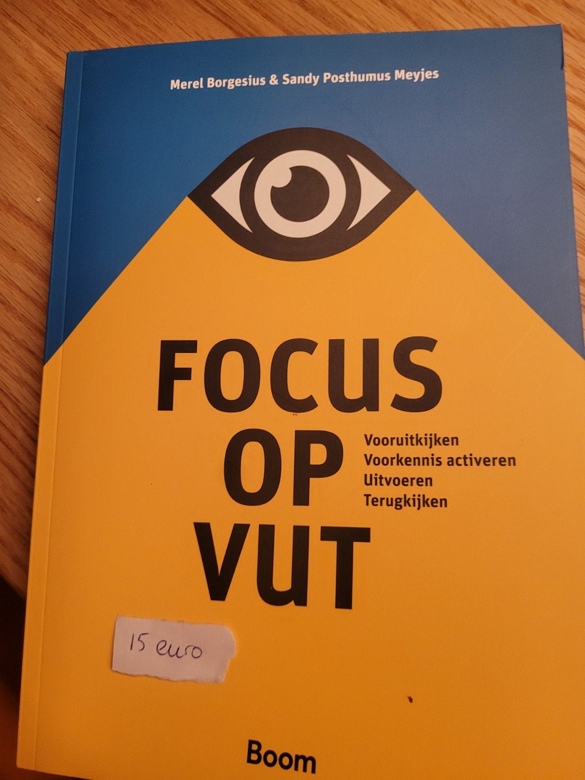 Focus op VUT & Reflectieschrift - Merel Borgesius, Ophalen of Verzenden, Zo goed als nieuw, HBO, Merel Borgesius & Sandy Posthumus Meyjes