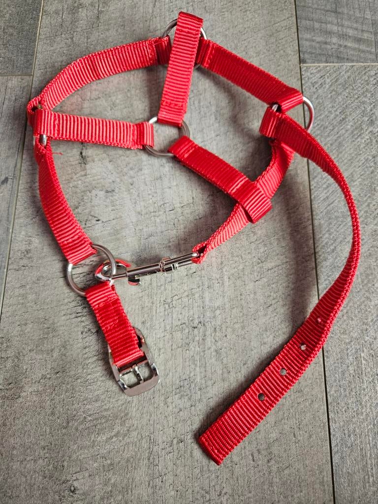 Rood halster, Ophalen of Verzenden