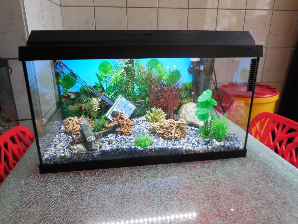 juwel primo 60 led compleet met toebehoren/inrichting, Dieren en Toebehoren, Vissen | Aquaria en Toebehoren, Ophalen, Zo goed als nieuw