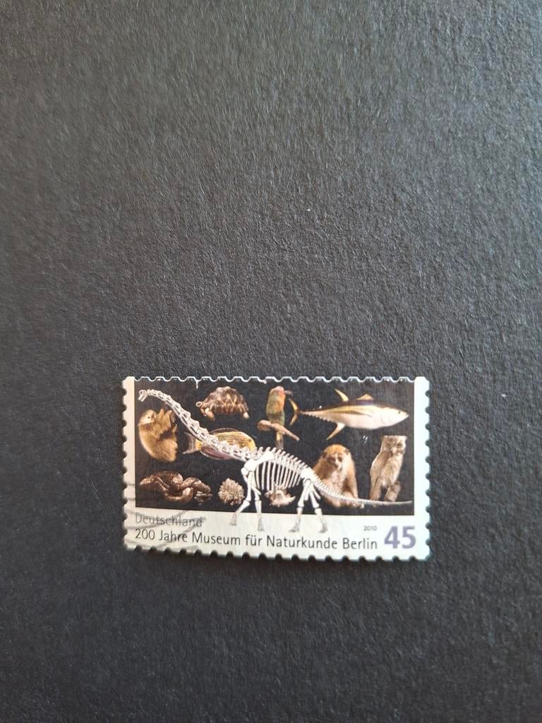 Duitsland.  Museum natuur. Skelet dinosaurus voor Leon  2010, Ophalen of Verzenden, Dier of Natuur